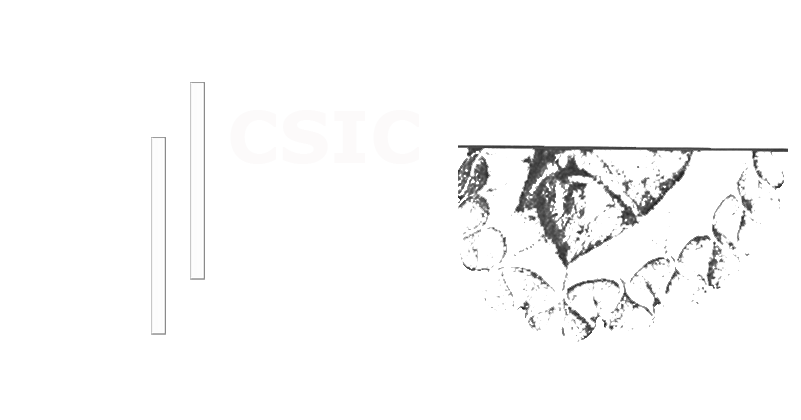 Publciaciones CSIC Publicaciones CSIC